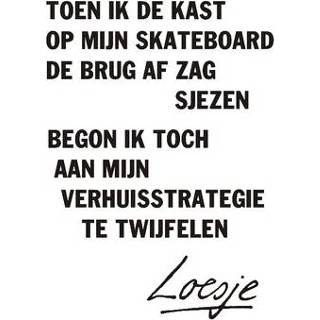 👉 Toen ik de kast op mijn skateboard de brug af...