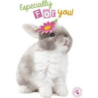 👉 Zomaarkaart met konijn