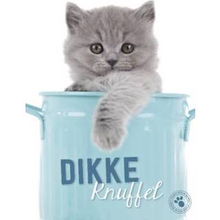 👉 Zomaarkaart met kitten