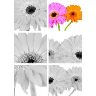 Fotokaart met bloemen in kleur en zwartwit