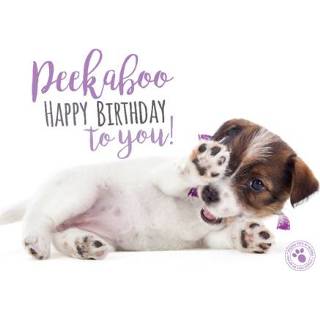 👉 Verjaardagskaart nederlands | Studio Pets Lief Puppy