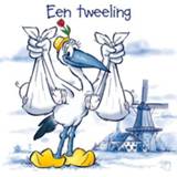 👉 Een tweeling