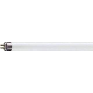 👉 Mini G5 T5-tl-lamp PHILIPS MASTER van 4W, 640