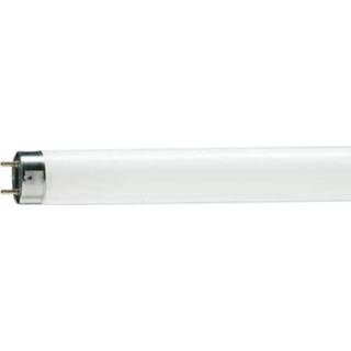 👉 G13 T8-TL-D-fluoresc.lamp Master DeLuxe, 36W, 940