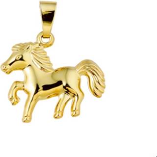 👉 Bedel geelgoud goud paard unisex active TFT 8718834182176