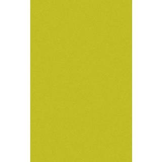 👉 Tafel kleed kunststof papier active groene limoen Lime afneembare tafelkleden/tafellakens 138 x 220 cm papier/kunststof
