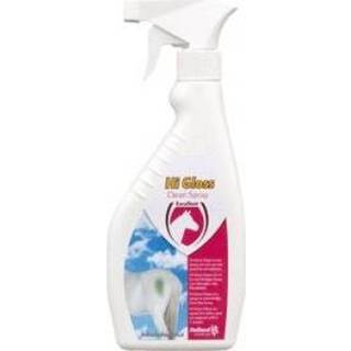 👉 Active Excellent Hi Gloss Clean Spray 500 ml 8716759504240