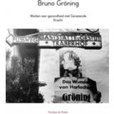 👉 Bruno Gröning 9789402143744