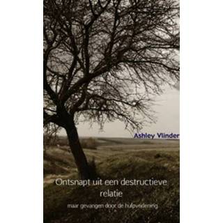 👉 Boek Ontsnapt uit een destructieve relatie - Ashley Vlinder (9402164855) 9789402164855