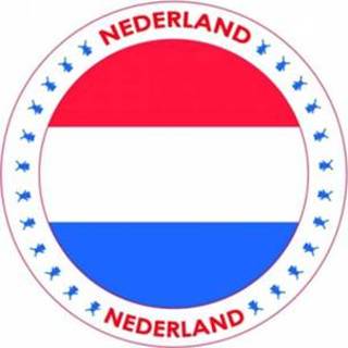 👉 Viltjes met Nederland vlag opdruk