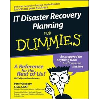 👉 IT Disaster Recovery Planning For Dummies 9780470039731