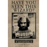 Poster zwart meerkleurig standard unisex Harry Potter Wanted Sirius Black 5050574336819