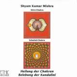 👉 Stirn Chakra - Scheitel 9006639193039