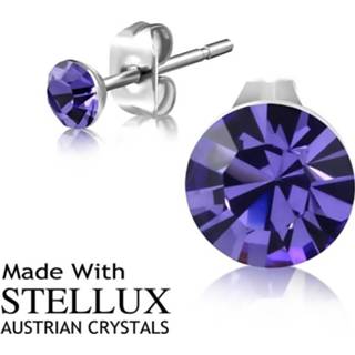 👉 Purple Stella Crystal oorstekers SKU89779