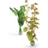 👉 Plantenset groen zijde medium kunstplanten BiOrb zijden 822728005040