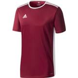 👉 Shirts voetbal Adidas Entrada 18 Jersey 4058031517161