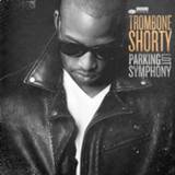 👉 Parking Lot Symphony 602557431155