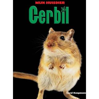 👉 Nederlands tweet gerbil 9789461750624