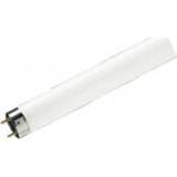 Philips TLD TL t5 TL t5 TLD 14W/840 Philips 36CM 8711500953810