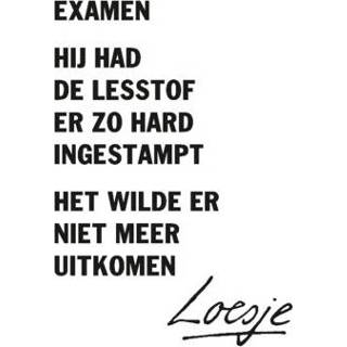 👉 Nederlands Loesje | Examen