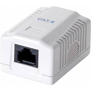 👉 Wandcontactdos LogiLink NP0071 RJ-45 wandcontactdoos 4052792027921