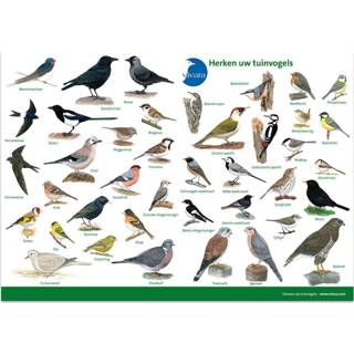 Kunststof Kijkkaart Vogels