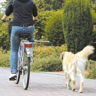 👉 Walky-Dog Plus, de derde hand aan de fiets