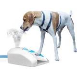 👉 Fontein voor honden