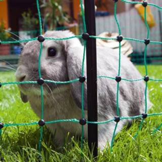 Konijnennet dubbele pen groen Konijnennet groen 50 meter dubbele pen 4018653047804