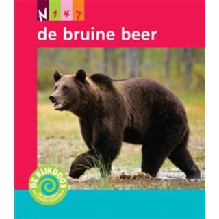 👉 Boek bruine De beer - Minke van Dam (9001810268) 9789001810269
