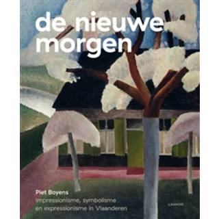 👉 Boek jongens De Nieuwe Morgen - Piet Boyens (9401450706) 9789401450706