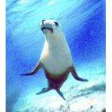 👉 Active Seal (zeehond) 8717624994357