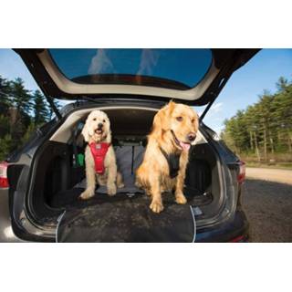 👉 Hondendeken voor de kofferbak Charcoal 813146017302