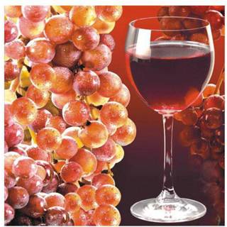 👉 Servet active small rode wijn servetten 33 cm
