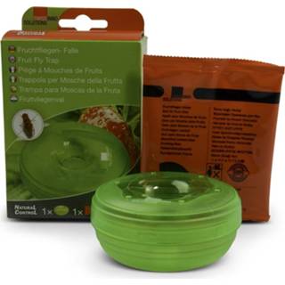 👉 Fruitvliegje Fruitvliegjes vanger Swissinno