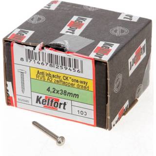 👉 RVS Kelfort Anti-inbraakschroef zelftappend A2 4.2 x 38mm 8714678259456