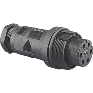 👉 F-connector Bulgin PX0801 Kabelschoen (rond) Stekker, inbouw Serie (ronde connectors): PX08 1 stuks 2050000248696