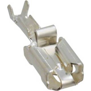 👉 TE Connectivity Positive Lock Vlakstekker Vibratieveilig Insteekbreedte: 6.35 mm Insteekdikte: 0.81 mm 180 ° Ongeïsoleerd Zilver 1 stuks