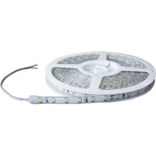 👉 Ledstrip rood Barthelme 51618411 LED-strip Energielabel: LED (A++ - E) Met open kabeleinde 24 V 100 cm 4021553040042