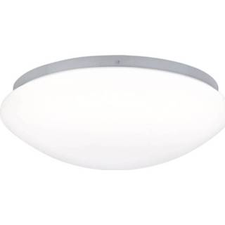 👉 Bewegingsmelder wit LED-plafondlamp met voor badkamer 9.5 W Neutraal Paulmann 70724 Leonis 4000870707241