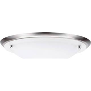 👉 Badkamer plafondlamp Halogeen, Spaarlamp E27 60 W Paulmann Arctus 70344 IJzer (geborsteld), Opaak