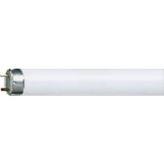 TL-buis 590 mm G13 18 W Neutraal wit Buis OSRAM 1 stuks