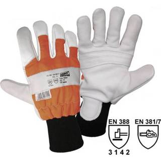 👉 Worky 1604 Badger - FORESTRY met snijbescherming GR.10 Maat (handschoen): 10, XL