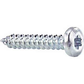 Cilindrische plaatschroeven met torx-kop Plaatschroef Cilindrische plaatschroeven met torx-kop 6.5 mm 100 stuks 4036911203212