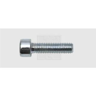 👉 Inbusschroeven 30 mm Binnenzeskant (inbus) Staal verzinkt 100 stuks SWG