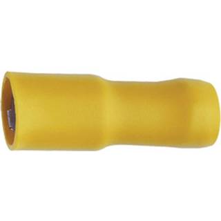 👉 Stift geel Klauke 950 Kabelschoen, female (rond) 4 mm² 6 Stift-�: 5 mm Volledig geïsoleerd 1 stuks 2050001364333