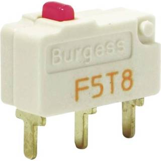 👉 Burgess Microschakelaar F5T8YCUL 250 V/AC 5 A 1x aan/(aan) IP40 schakelend 1 stuks