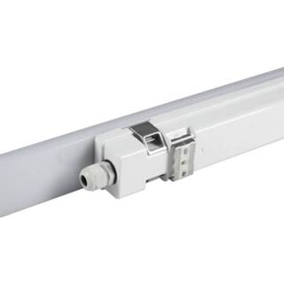 👉 Bewegingsmelder wit MÃ¼ller Licht Aquafix LED LED-kuiplamp met voor vochtige ruimte IP65 Neutraal 4004894859047