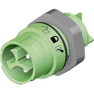 👉 F-connector PE Wieland 46.032.5055.7 Kabelschoen (rond) Stekker, inbouw Serie (ronde connectors): RST® MINI Totaal aantal polen: 2 + 1 stuks 2050004974799