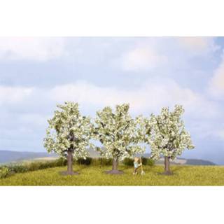 👉 Fruit boom wit Set bomen Fruitboom 45 tot mm NOCH 25511 Wit, Bloeiend 3 stuks 4007246255115